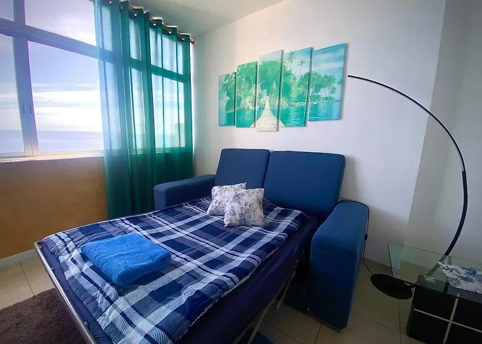 Casa Gran Danes Santa Cruz de Tenerife